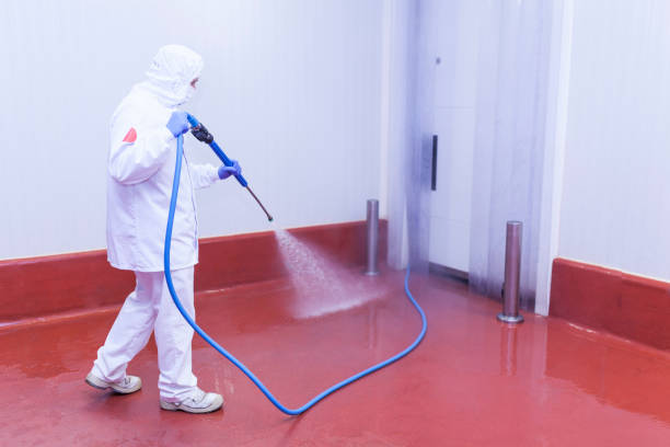 Best Boat and Dock Cleaning  in Ridgewood, IL