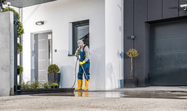 Best Oil Spill Cleanup  in Ridgewood, IL