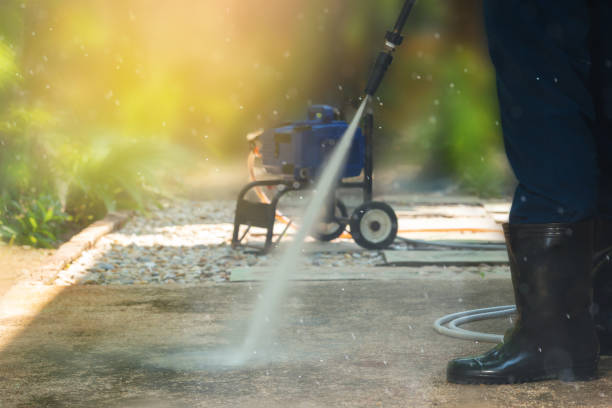 Animal Enclosure Cleaning in Ridgewood, IL
